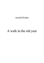 A walk in the old year
